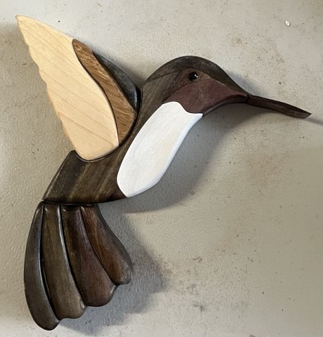 Birds photo