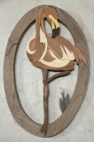 Flamingo photo