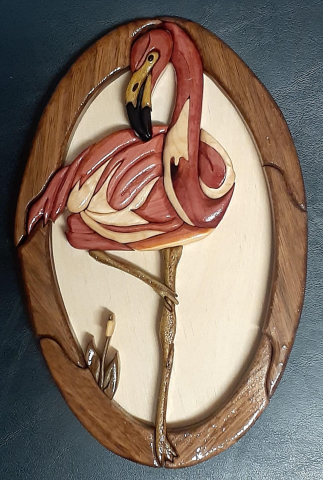 Flamingo photo