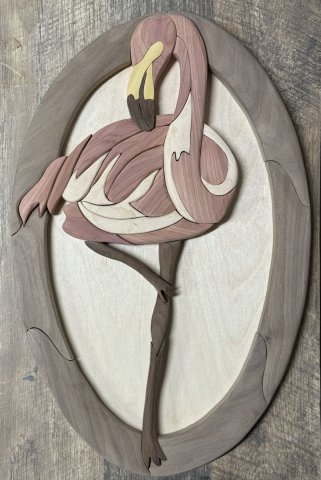 Flamingo photo
