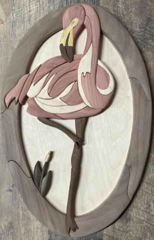 Flamingo photo