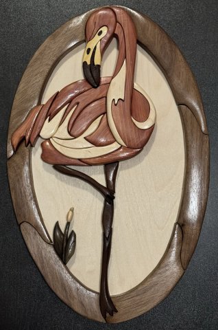 Flamingo