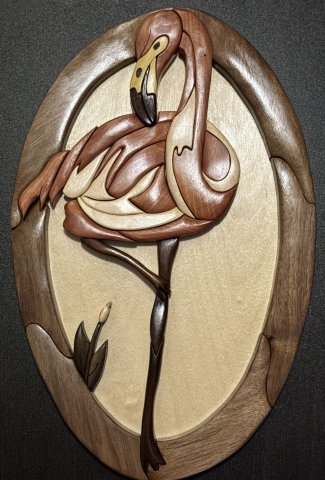 Flamingo photo