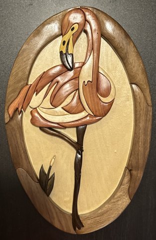 Flamingo photo