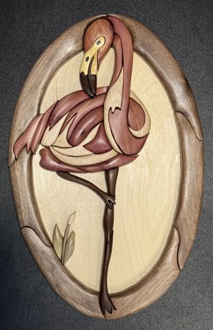 Flamingo photo