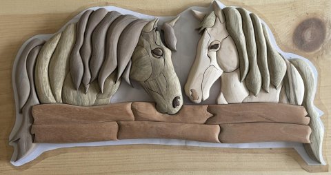 Horses photo