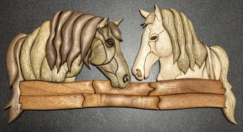 Horses photo
