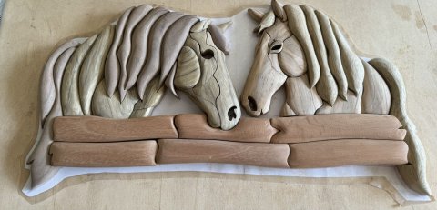 Horses photo