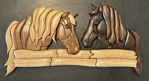 Horses photo