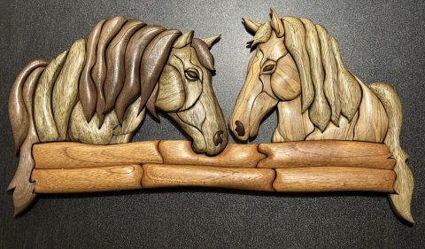 Horses photo