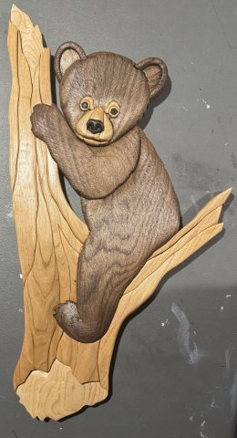 Bear photo