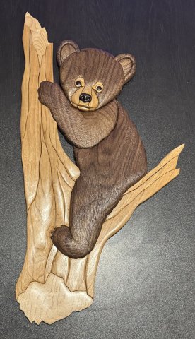 Bear photo