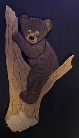 Bear photo
