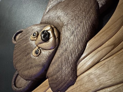 Bear photo