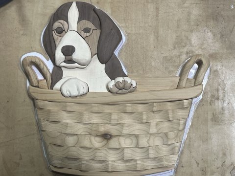 Dogs photo