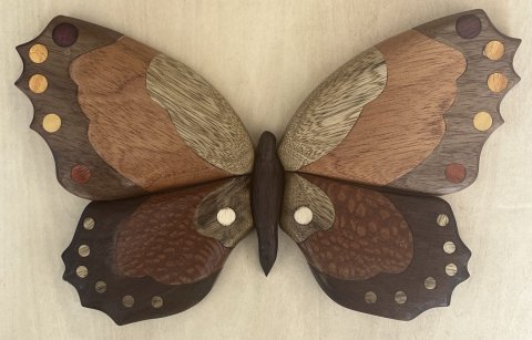 Butterflies photo