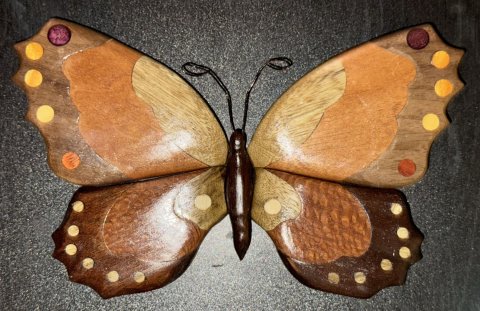 Butterflies photo