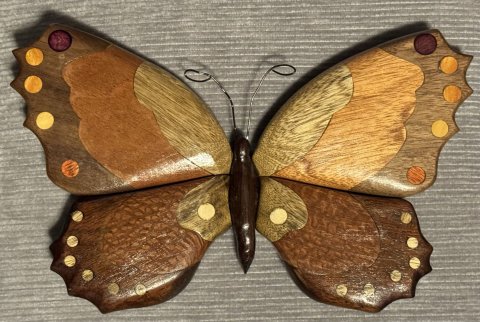 Butterflies photo