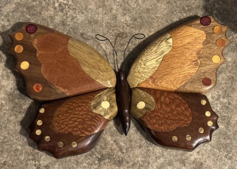 Butterflies photo