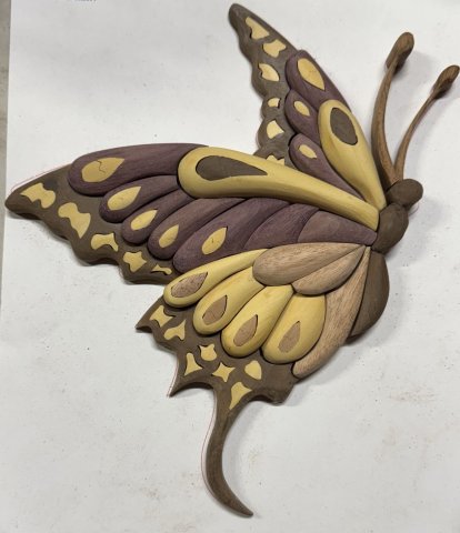 Butterflies photo