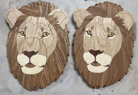 LIONS photo