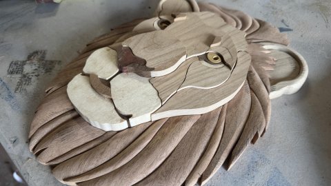 LIONS photo
