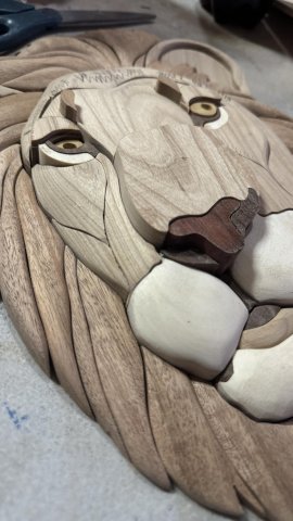 LIONS photo
