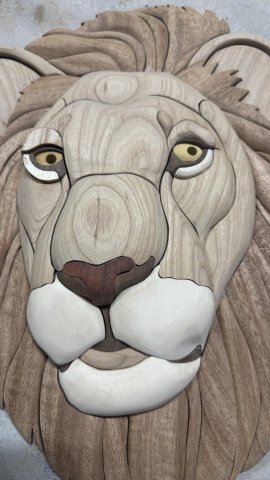 LIONS photo