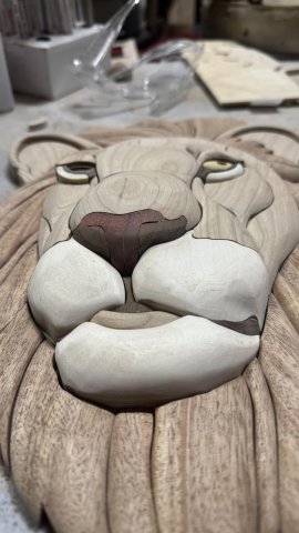 LIONS photo