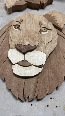 LIONS photo