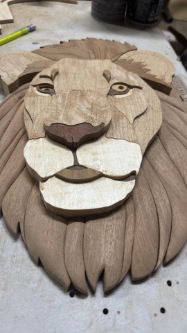 LIONS photo