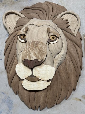 LIONS photo