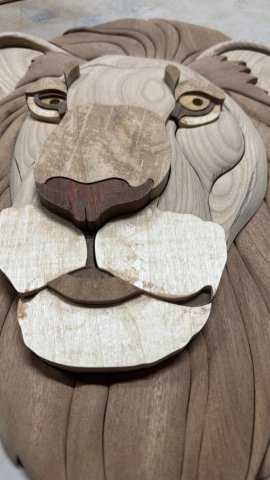 LIONS photo