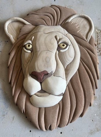 LIONS photo