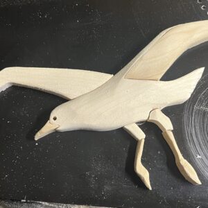 Seagull